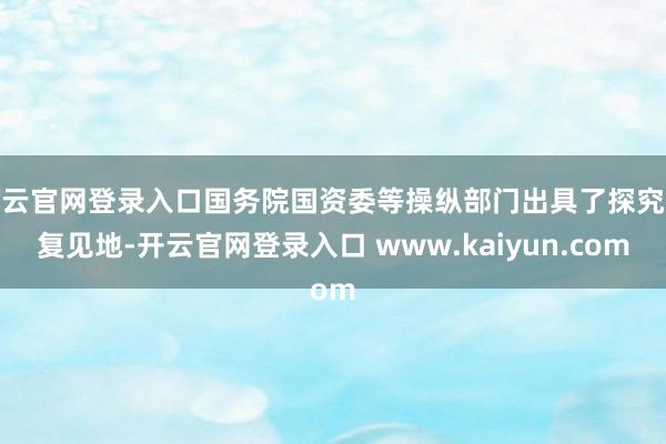 开云官网登录入口国务院国资委等操纵部门出具了探究批复见地-开云官网登录入口 www.kaiyun.com