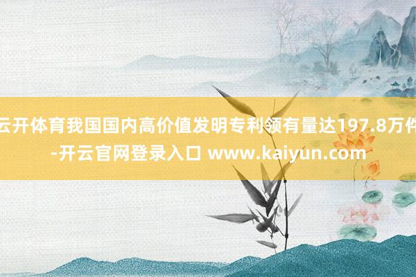 云开体育我国国内高价值发明专利领有量达197.8万件-开云官网登录入口 www.kaiyun.com